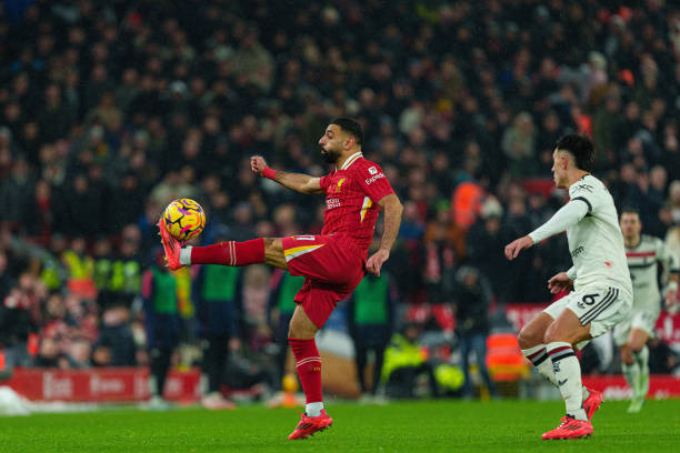 阳光心态的 阳光心态的